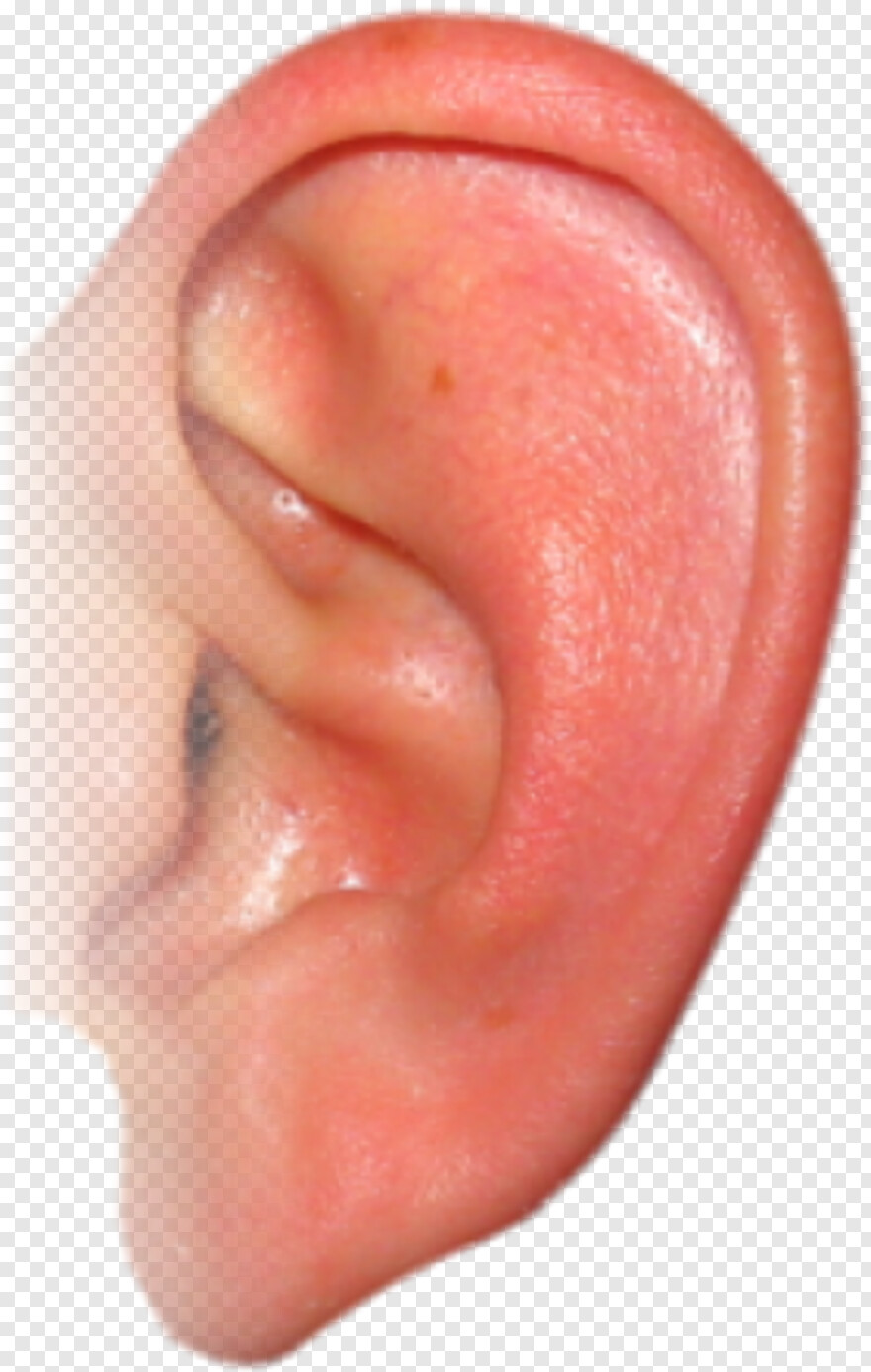 ear-rings # 877626