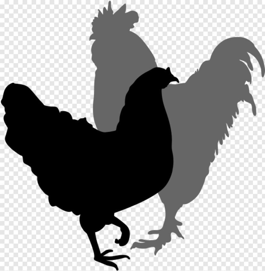 chicken-leg # 478286