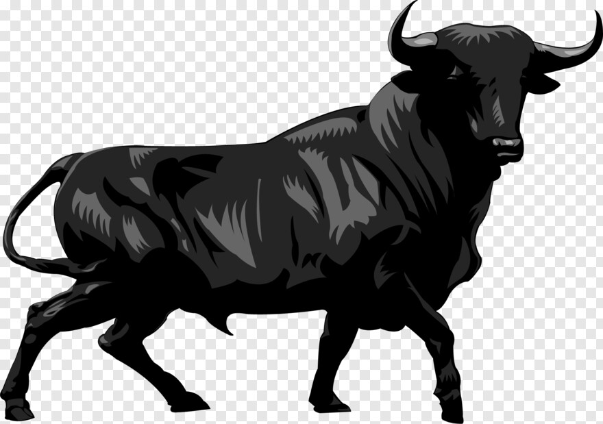 bull # 1102918
