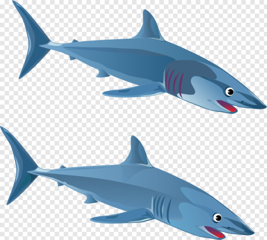  Shark Fin, Whale Shark, Great White Shark, Shark Attack, Bape Shark, Small Arrow