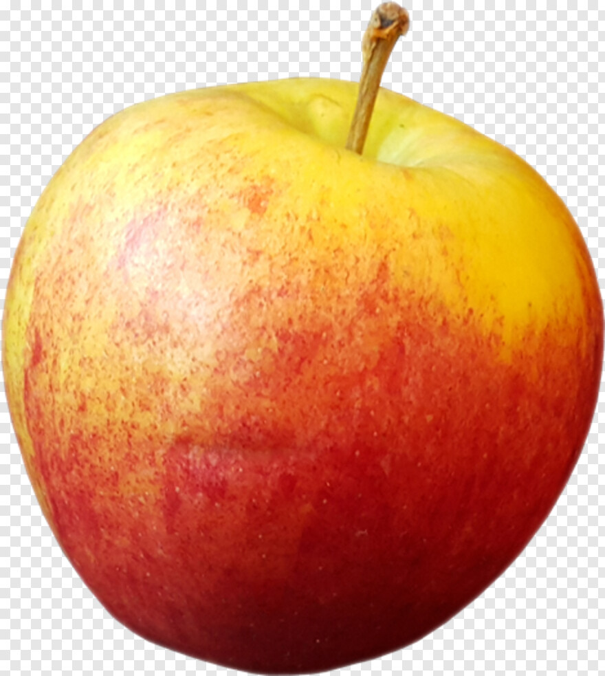 apple-fruit # 500639