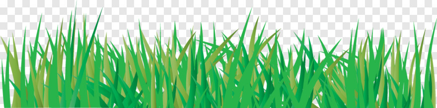 grass-vector # 783600