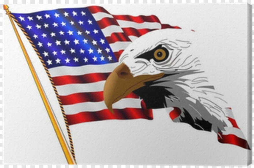  American Flag, Grunge American Flag, American Flag Clip Art, American Eagle, American Flag Eagle, American Flag Icon