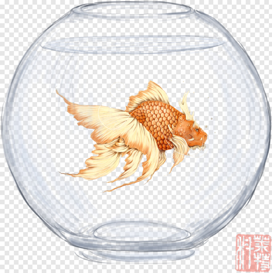 goldfish # 321896