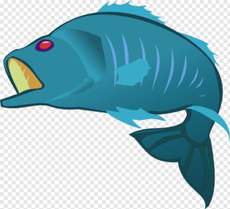fish-vector # 999573