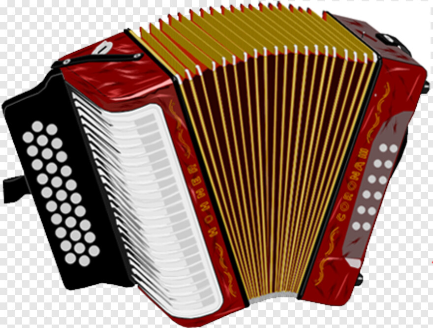 accordion # 577574