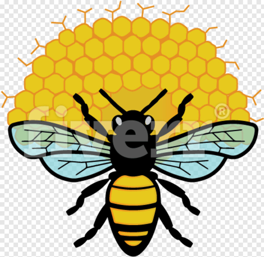 honey-bee # 382303