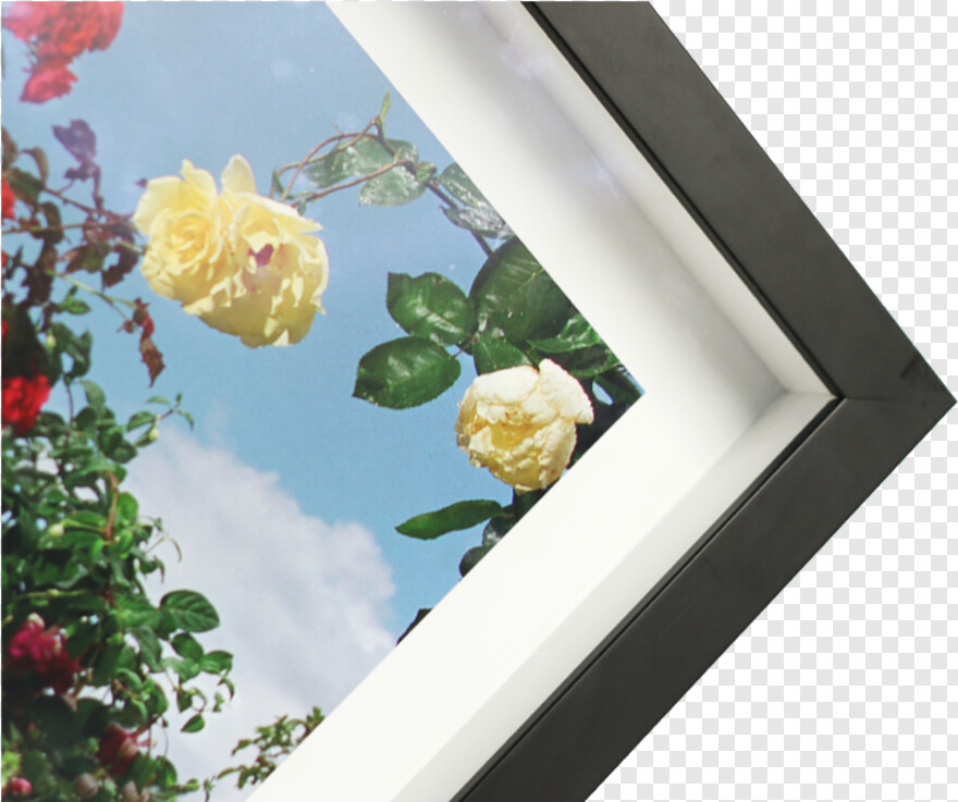 floral-frame # 320160
