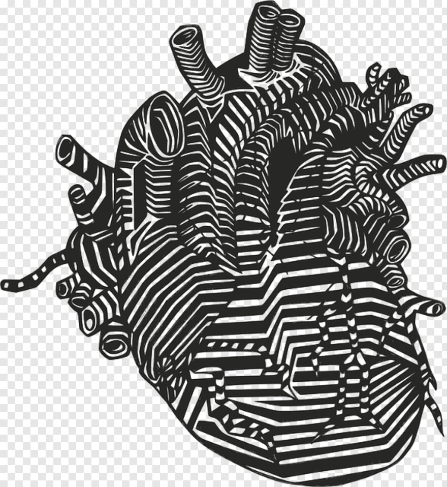 anatomical-heart # 519944