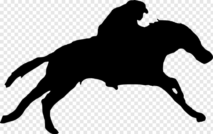  Black Horse, White Horse, Horse Logo, Horse, Horse Mask, Horse Head