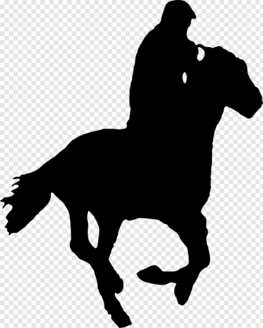  Horse, White Horse, Horse Logo, Horse Mask, Black Horse, Horse Head