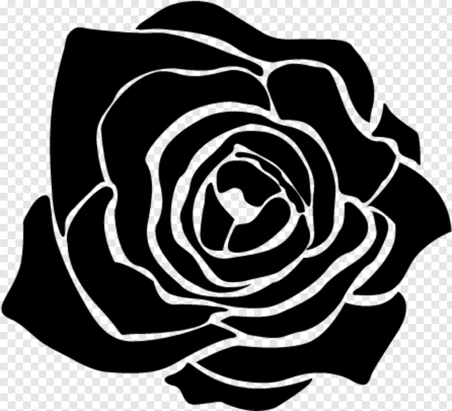 black-and-white-rose # 352344