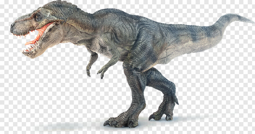 tyrannosaurus-rex # 596853