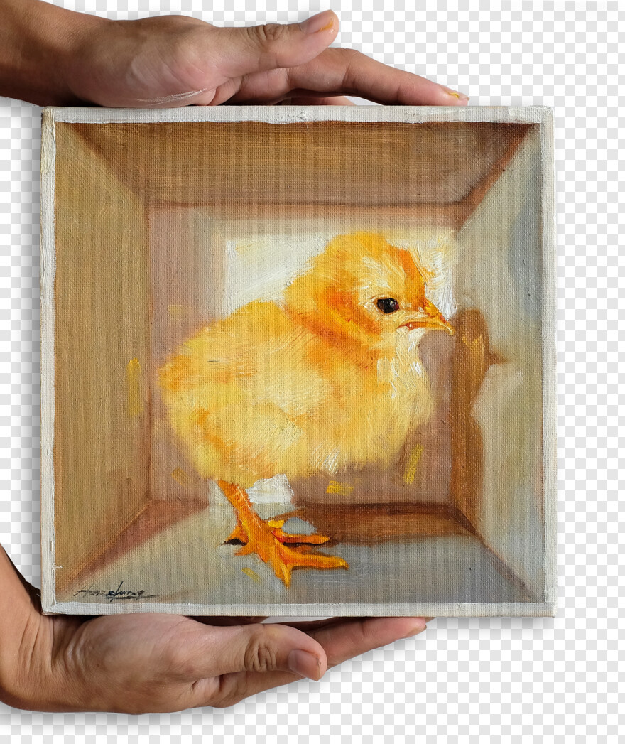 chick # 1026332