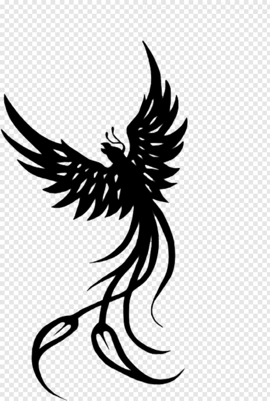 phoenix-logo # 361060