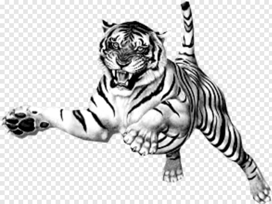 tiger-stripes # 356043
