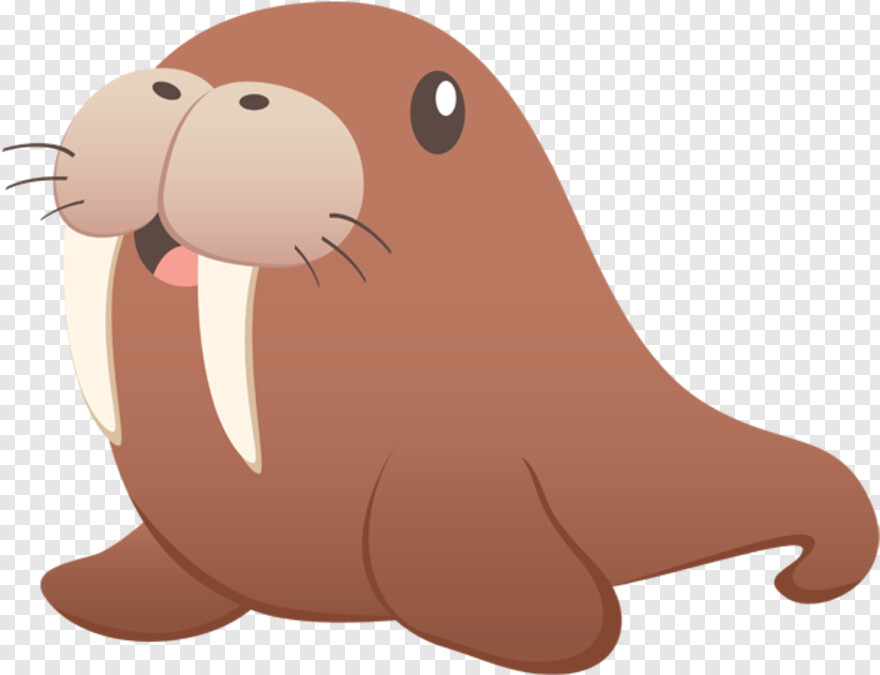 walrus # 714068