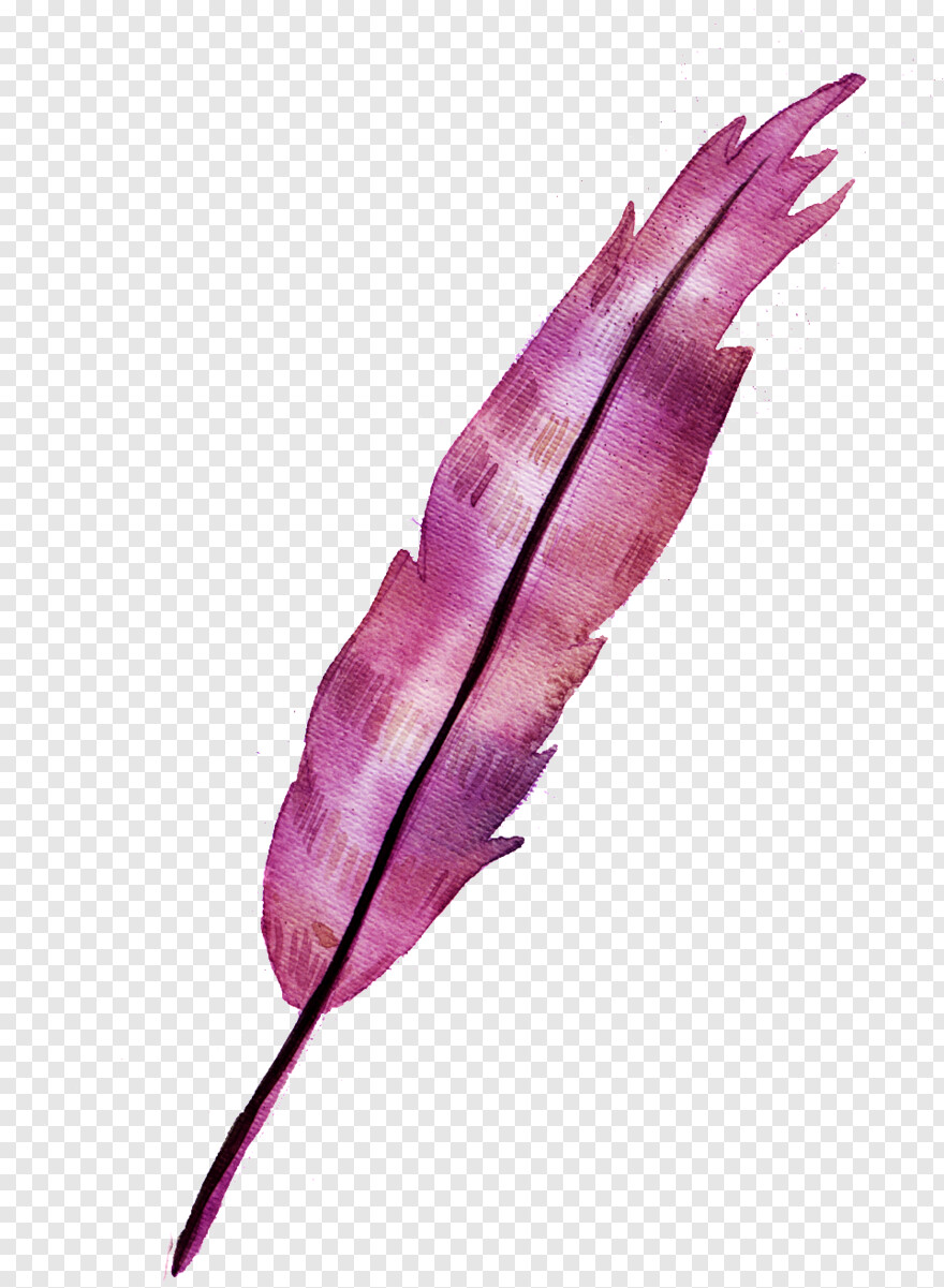 feather # 869344