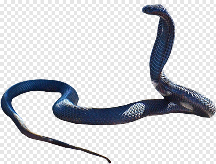 gucci-snake # 352099