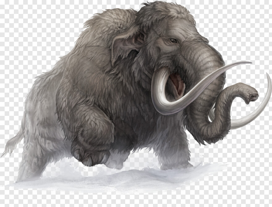 mammoth # 704234