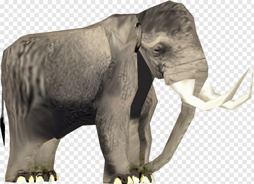 mammoth # 868985