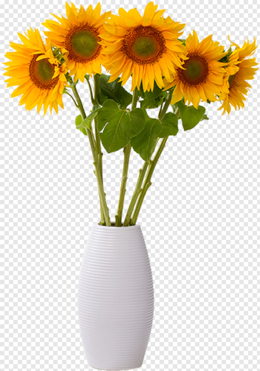 sunflower-vector # 473978