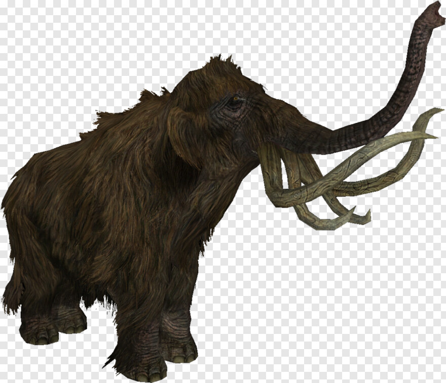 mammoth # 704246