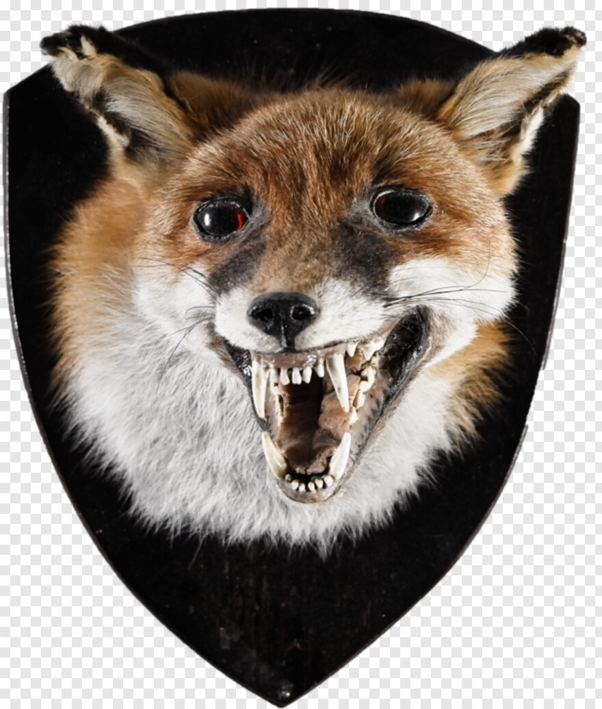 fox-logo # 814788