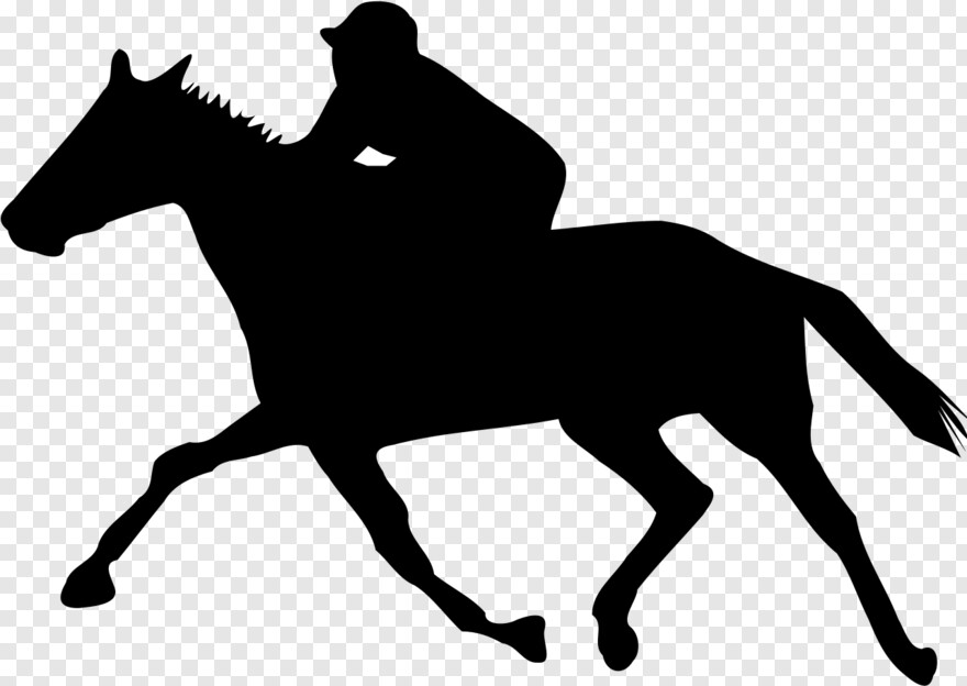  Horse Mask, White Horse, Horse Logo, Horse, Black Horse, Horse Head