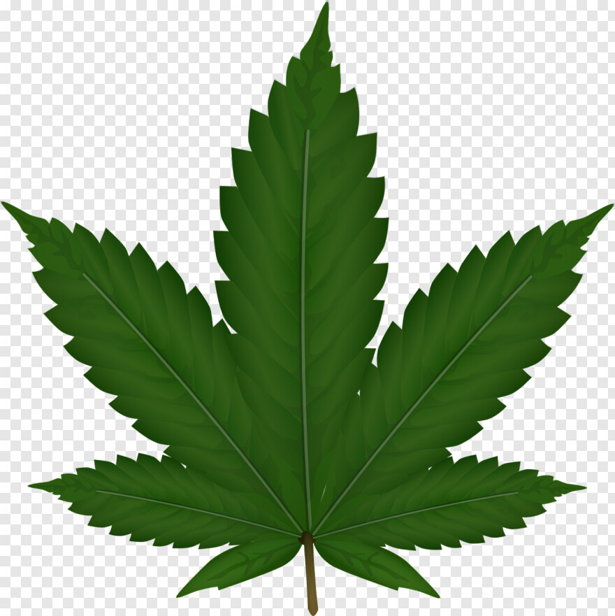 cannabis-leaf # 1073265
