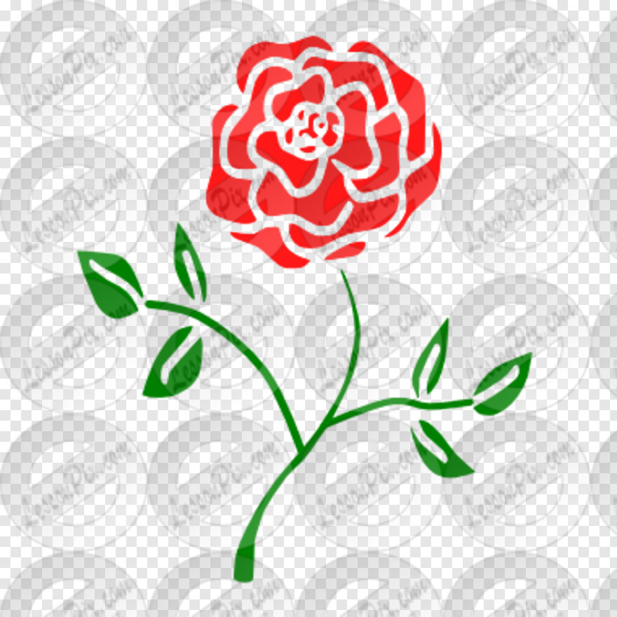 red-rose # 678609