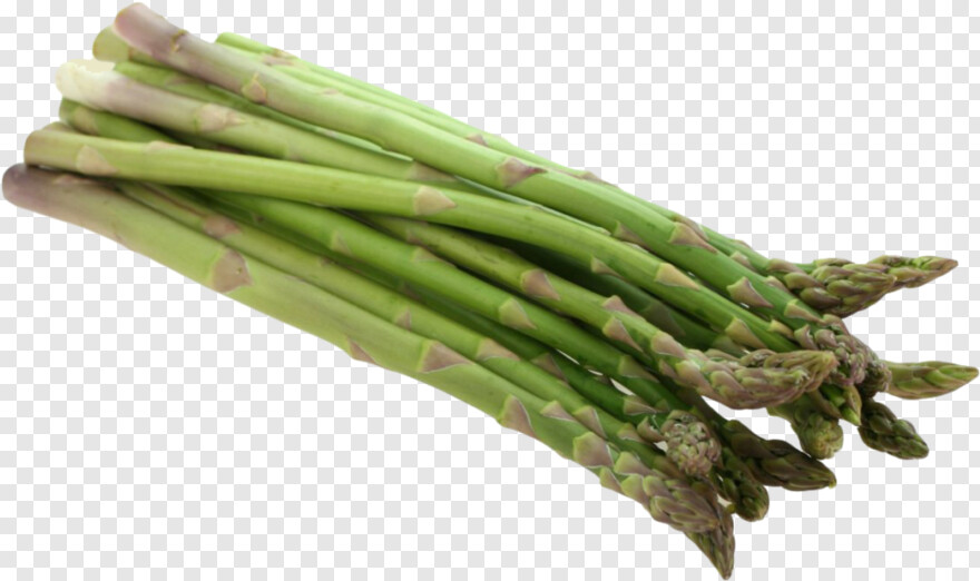 asparagus # 468472