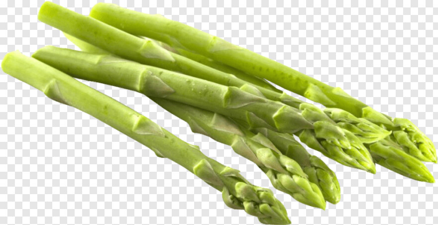 asparagus # 468455