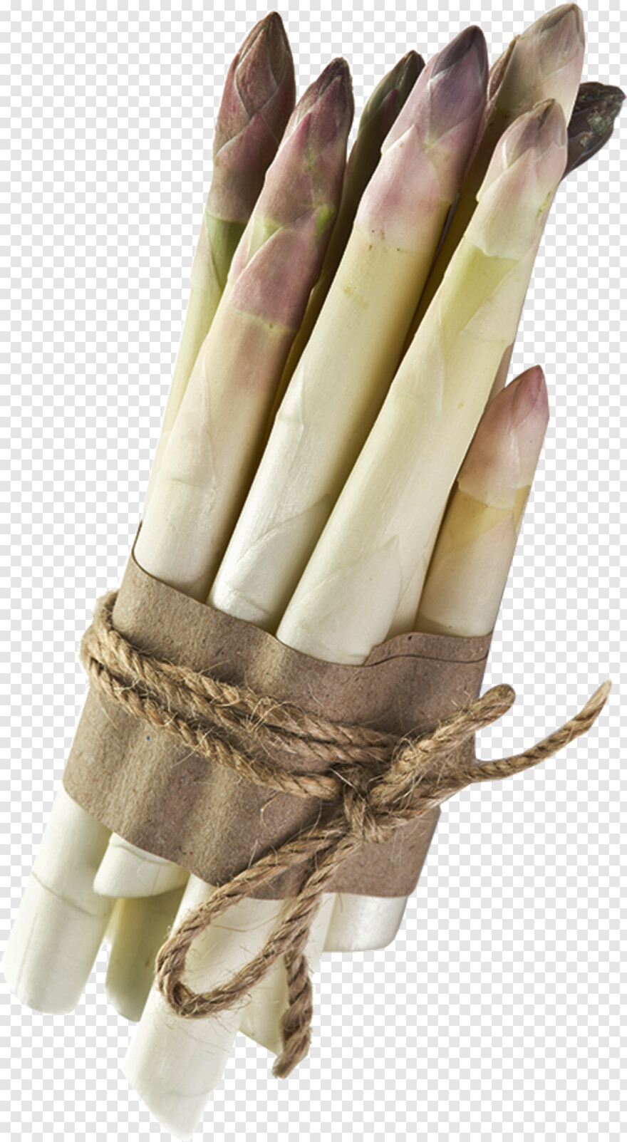 asparagus # 468459