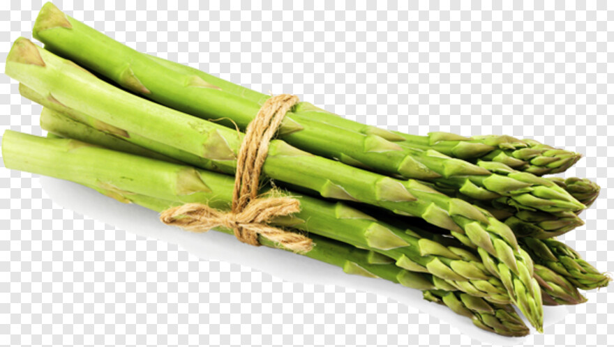 asparagus # 468450