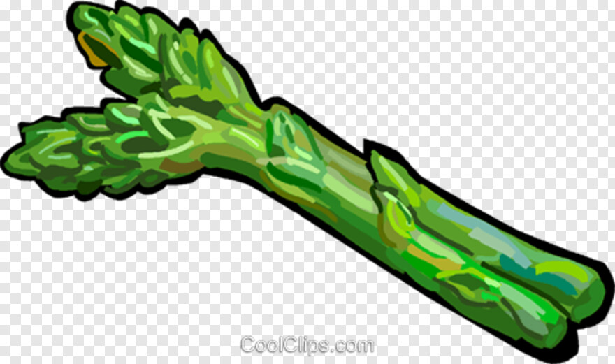 asparagus # 478160