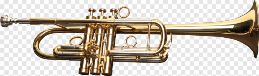 trumpet # 786538
