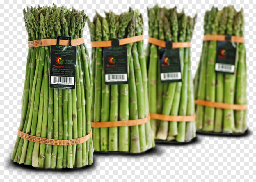 asparagus # 468452