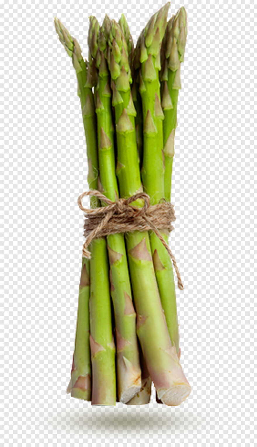 asparagus # 468432