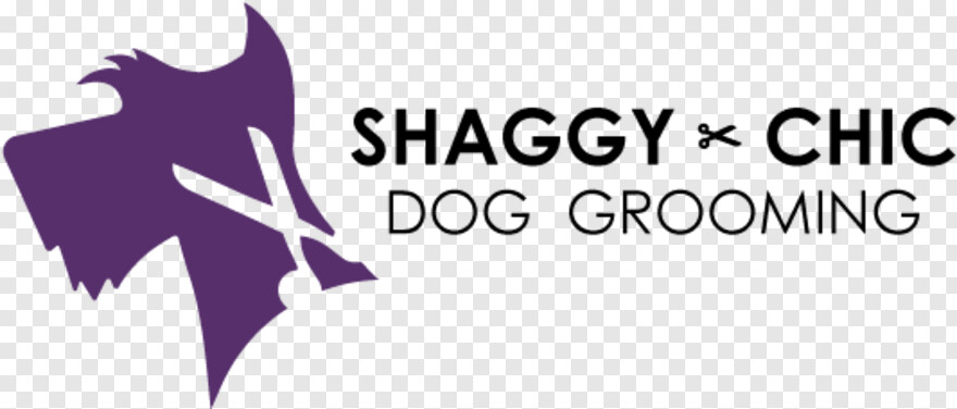 shaggy # 624238