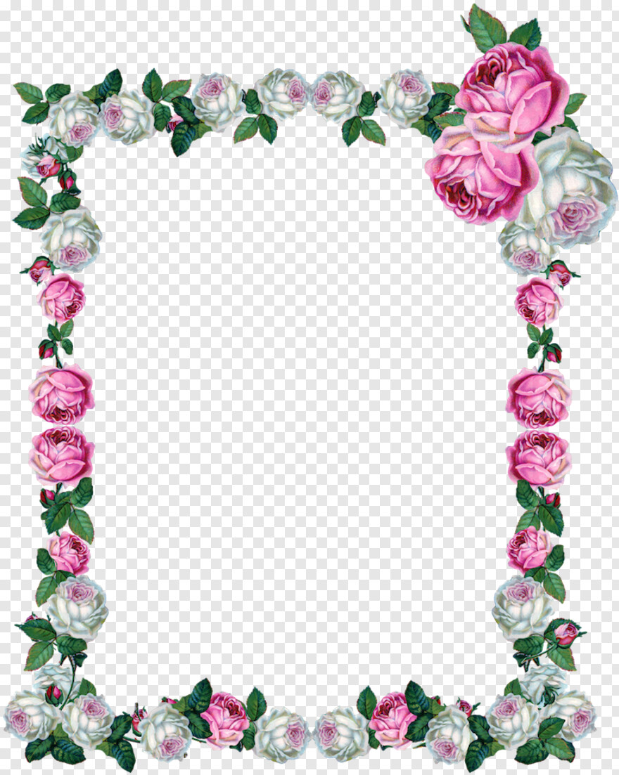 rose-frame # 905609