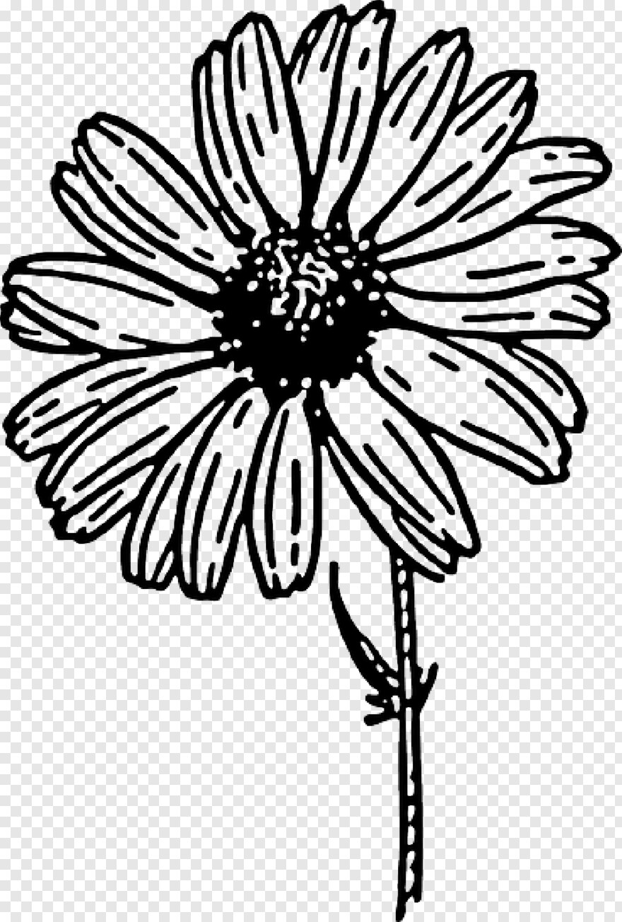 flower-drawing # 356925
