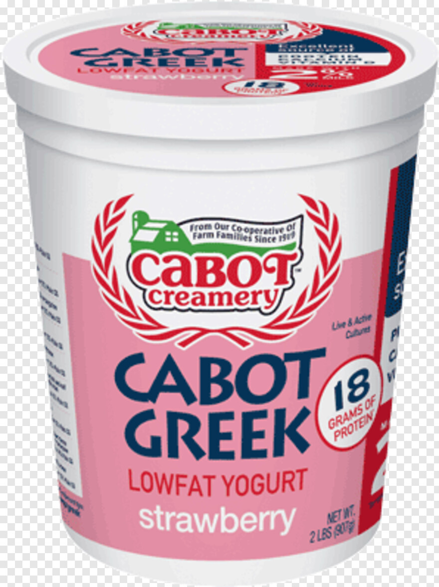 yogurt # 389030