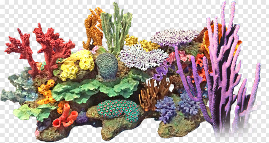 coral-reef # 957212