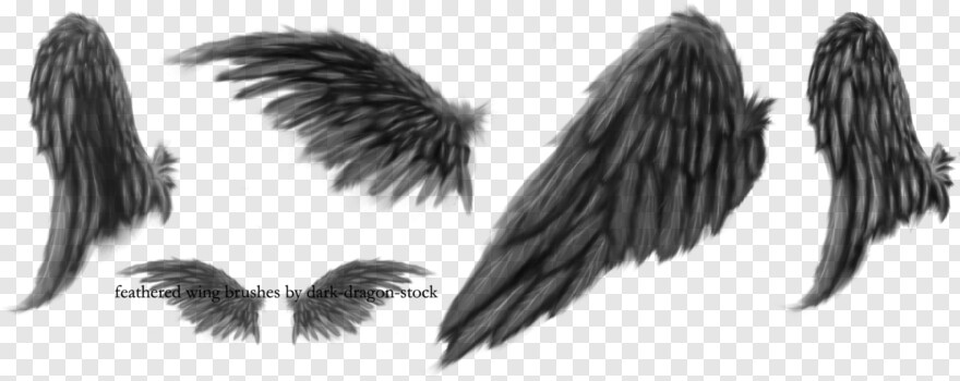  Angel Wings, Butterfly Wings, Angel Wings Clipart, Angel Wings Vector, Black Angel Wings, Chicken Wings