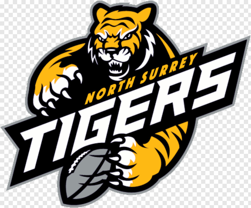 detroit-tigers-logo # 533975