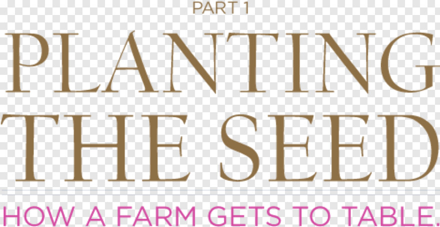state-farm-logo # 844374