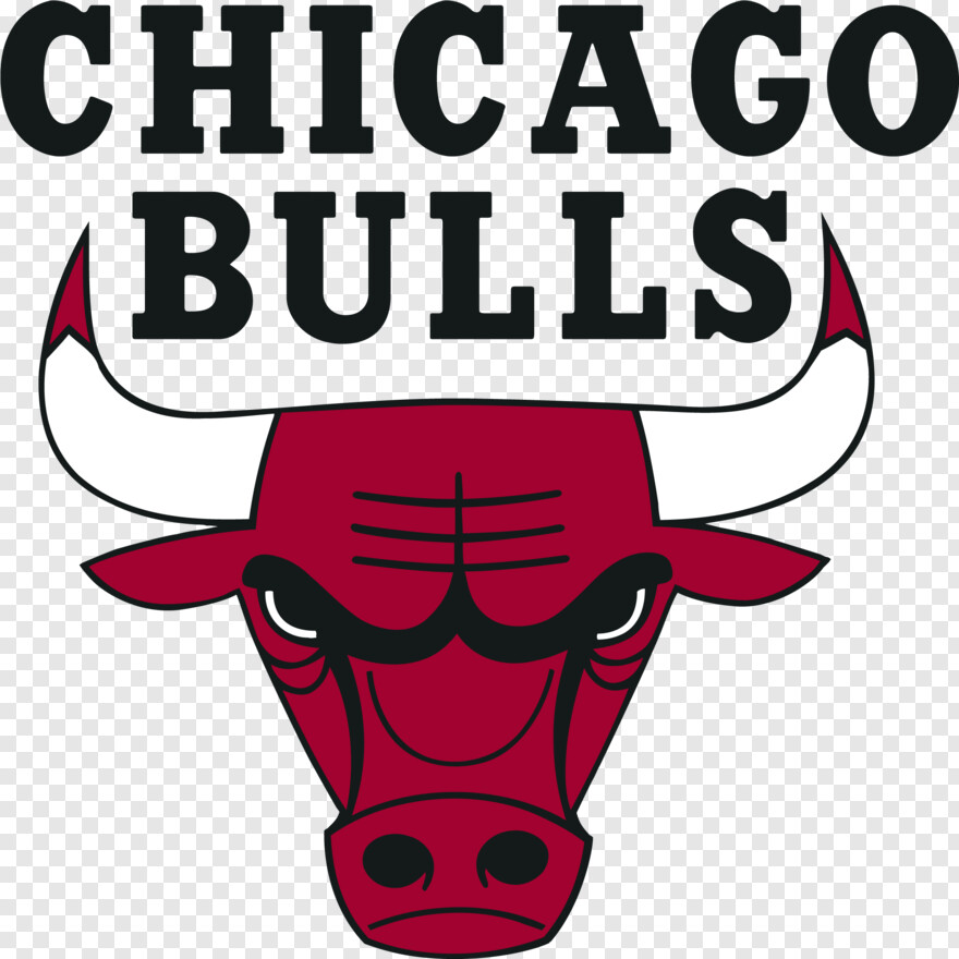 chicago-bulls # 533927