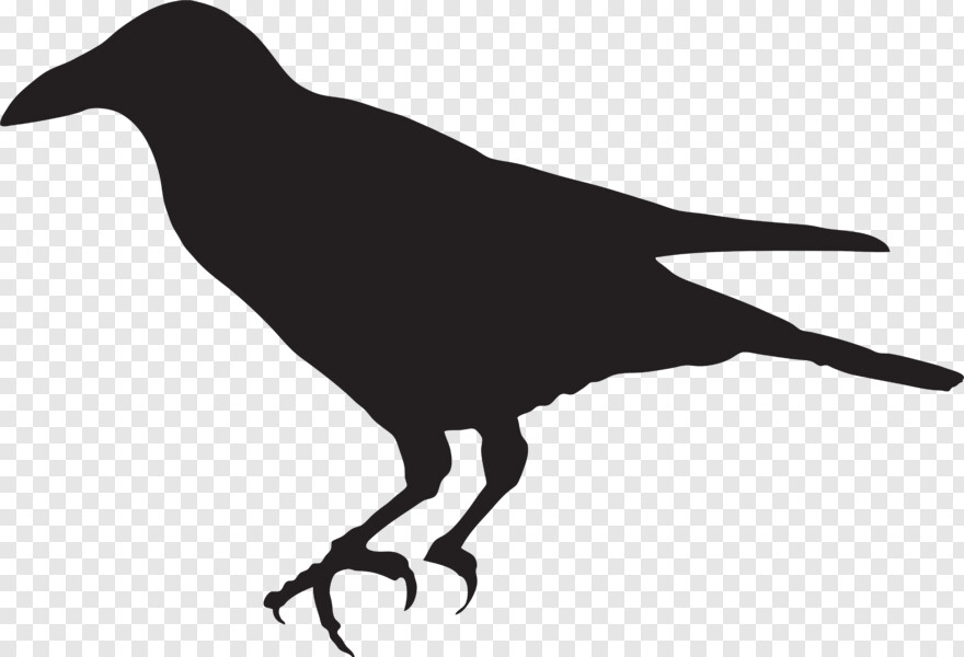 crow-silhouette # 1000561