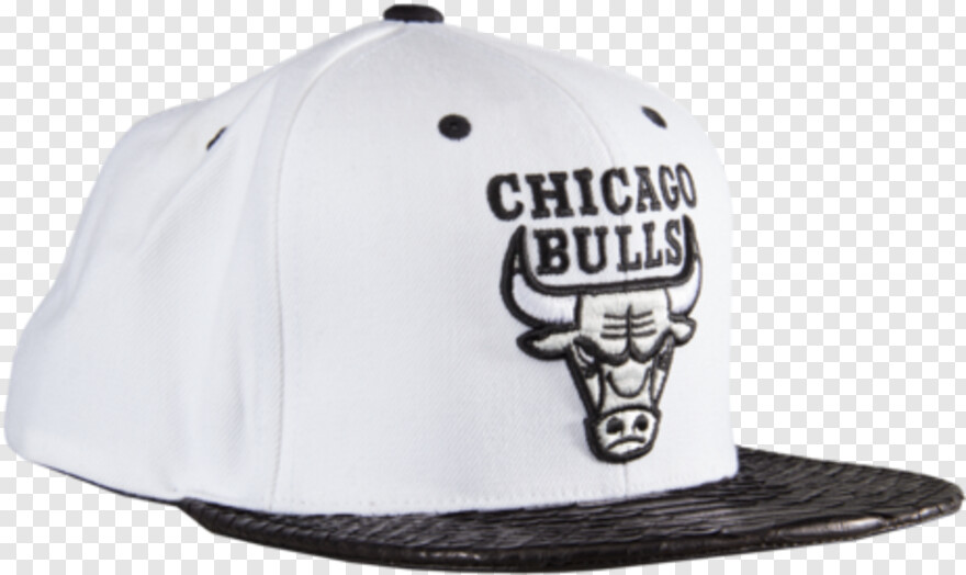 chicago-bulls # 399973